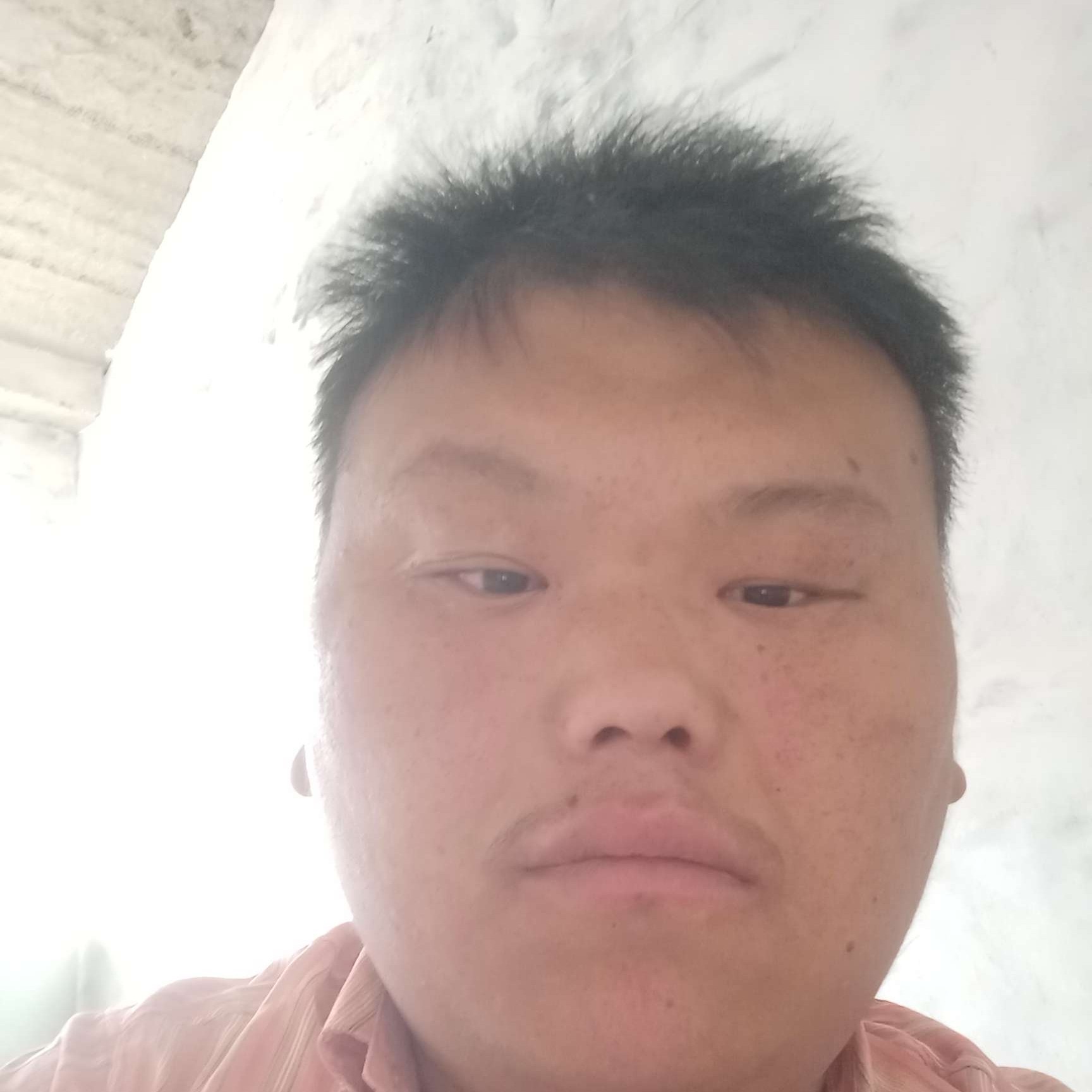 聪慧放弃大树的照片