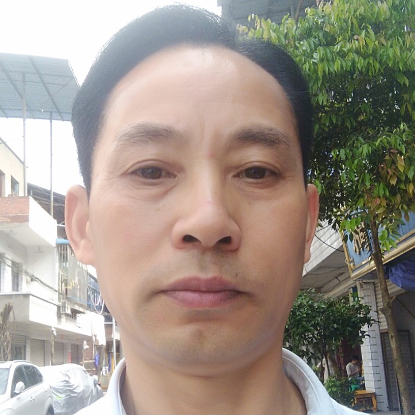 蜻蜓聪明的照片