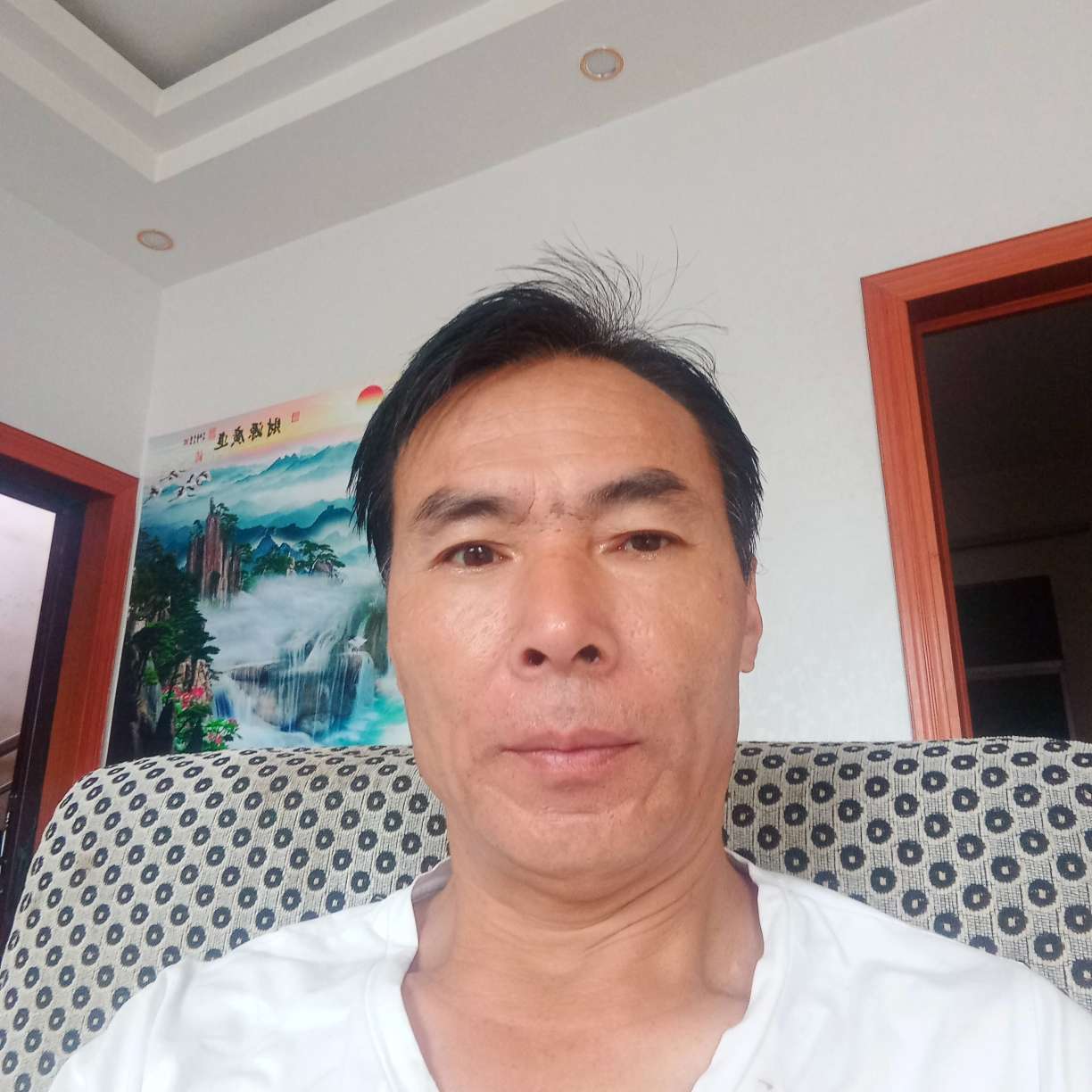 枕头那自由的照片