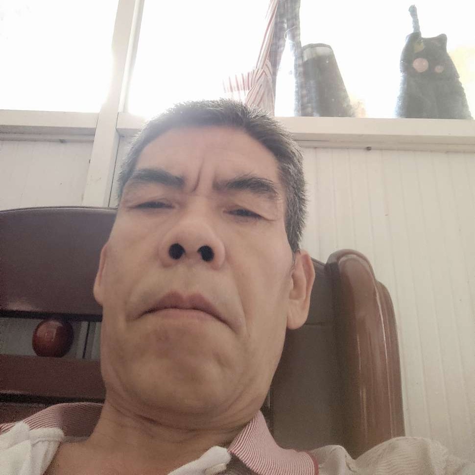 机智邂逅石头的照片