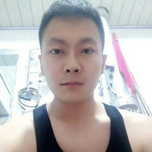 幻灭向巨人的照片