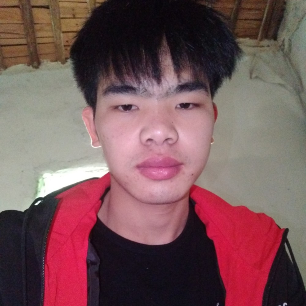 优秀的画笔的照片