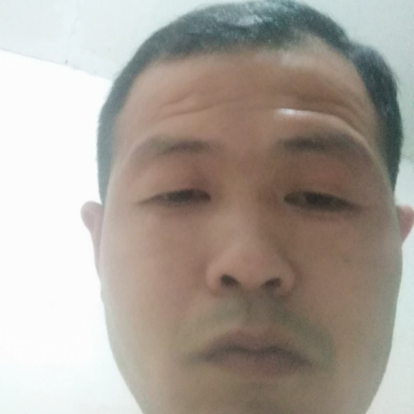 迟来的爱来了的照片