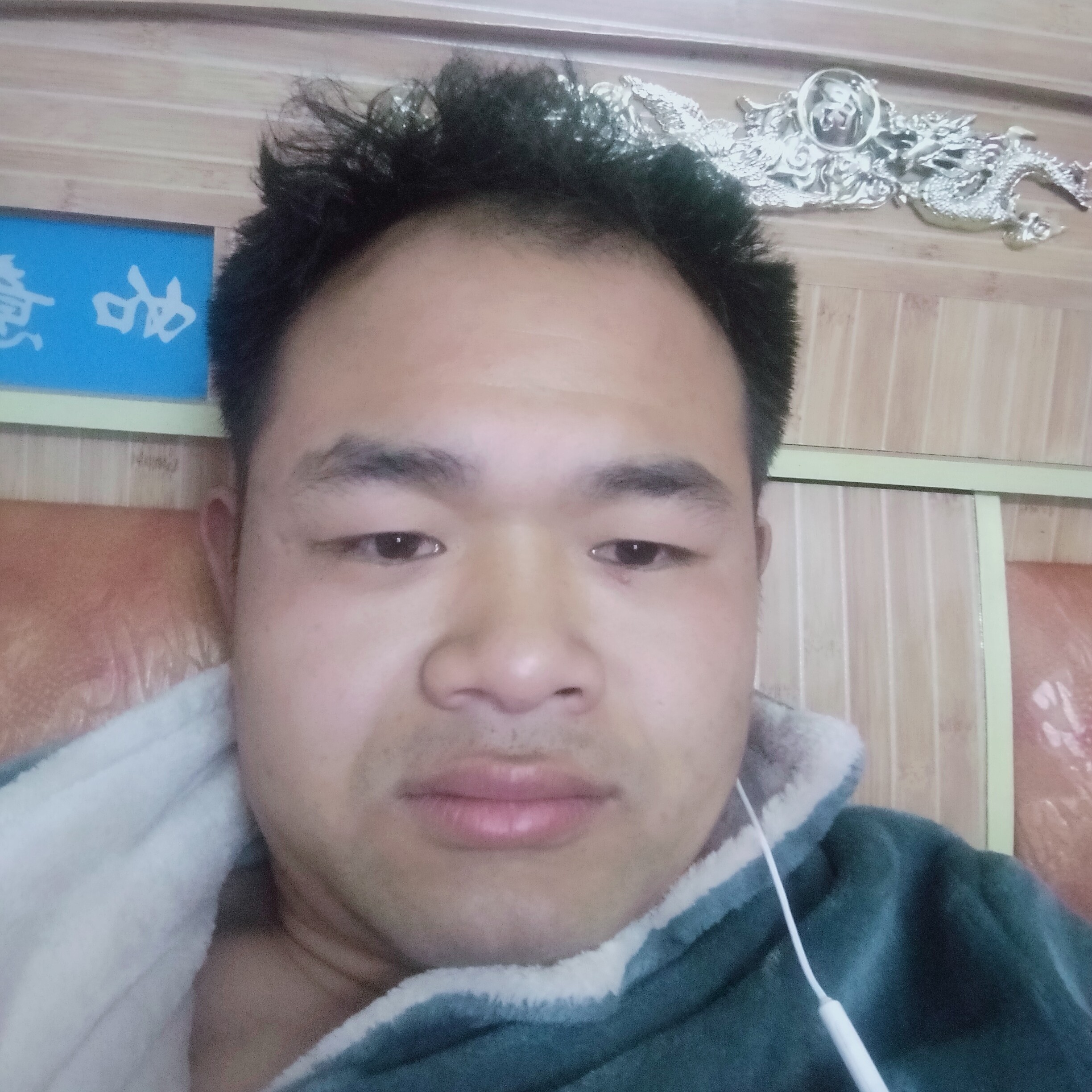 冬日狼王的照片