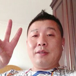 520叶子的照片