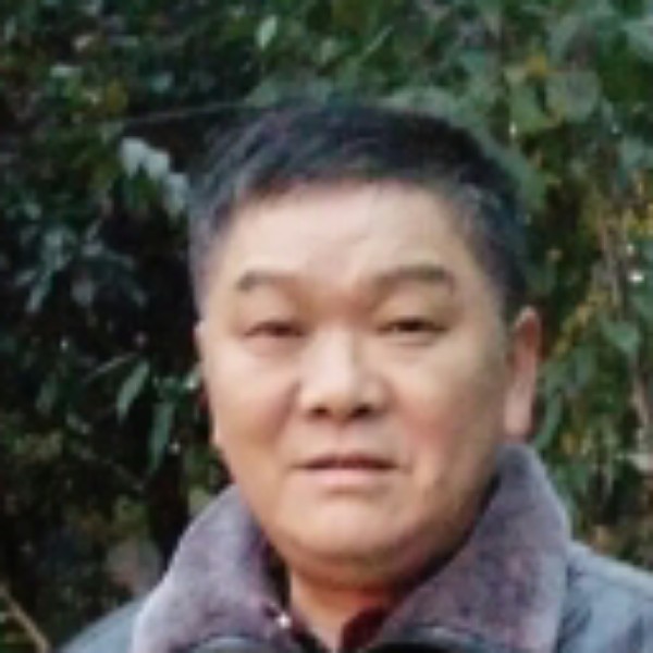 康乃馨谦让的照片