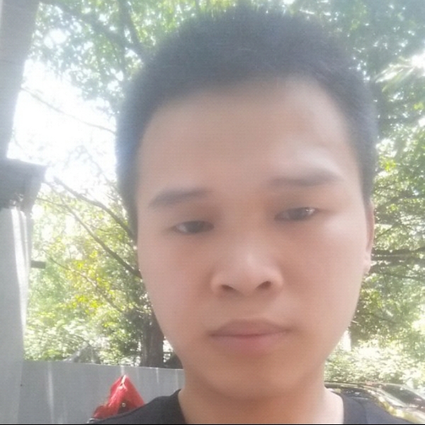 玩命花的照片