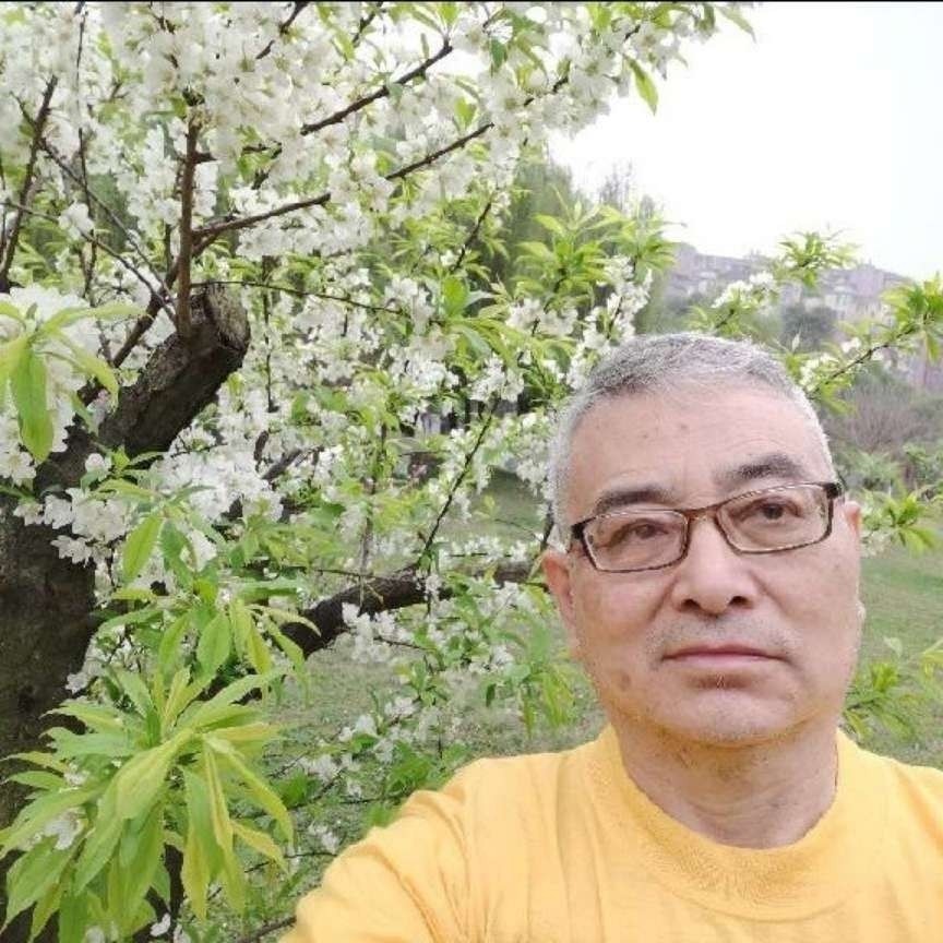 中国象棋手的照片