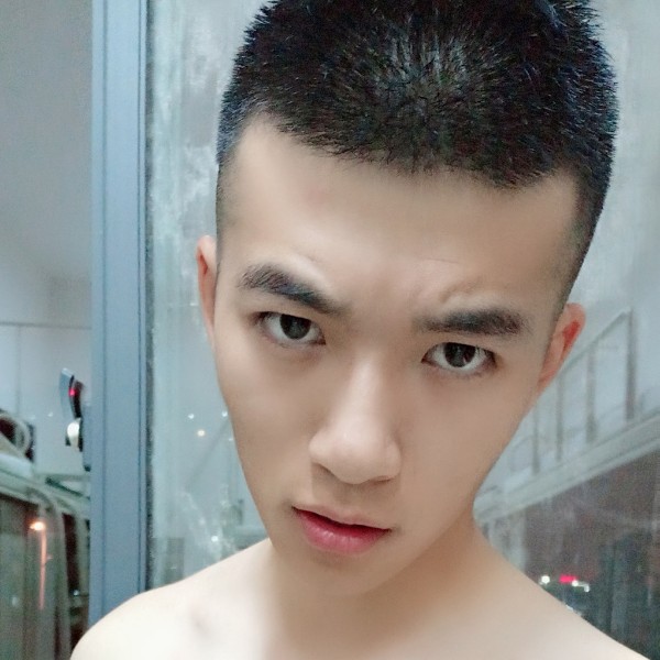 阳光樹雨的照片