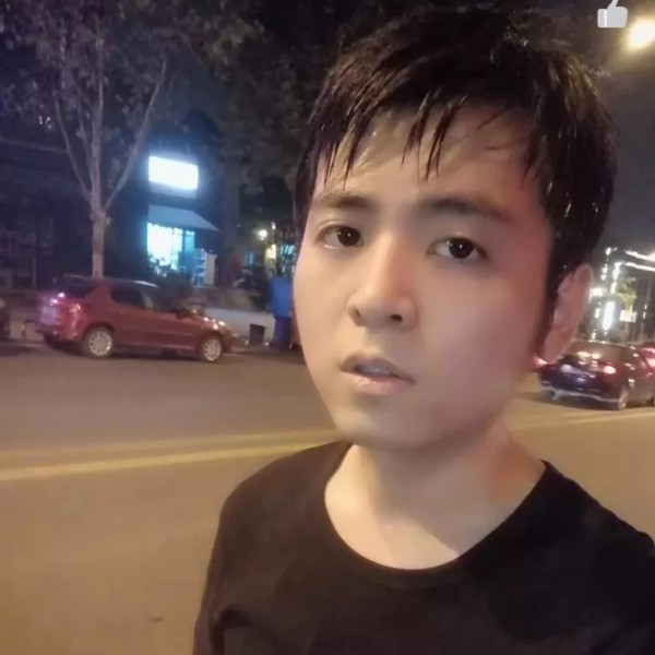 半匹马的照片