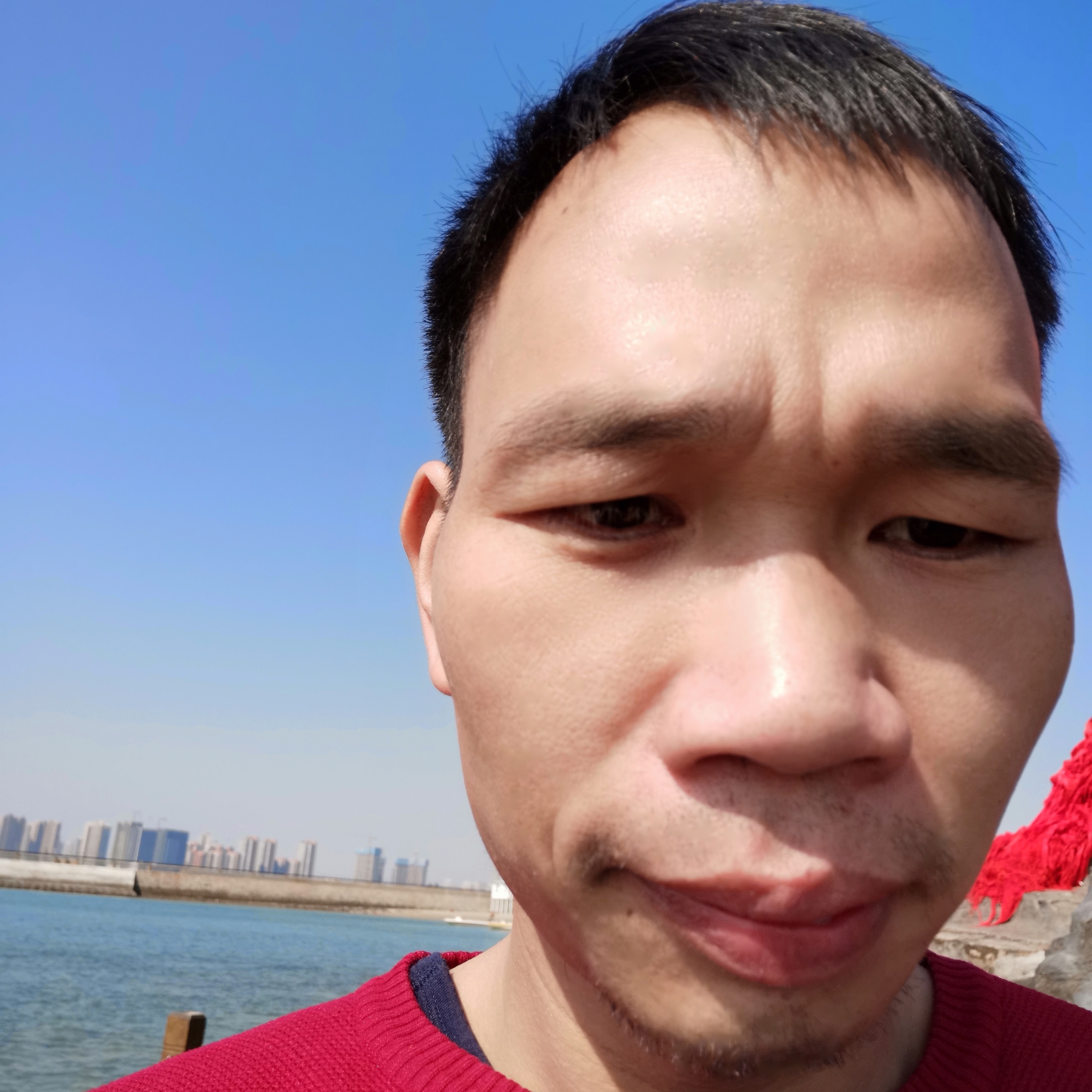 金毛朴实的照片