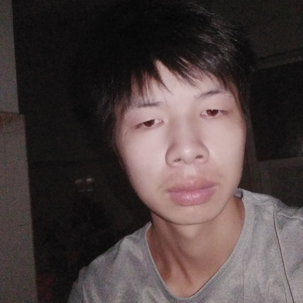 包容灰狼的照片