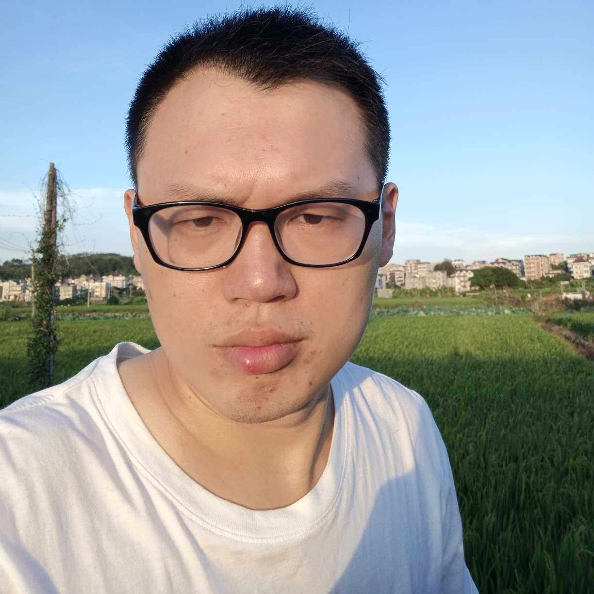 林伟明的照片