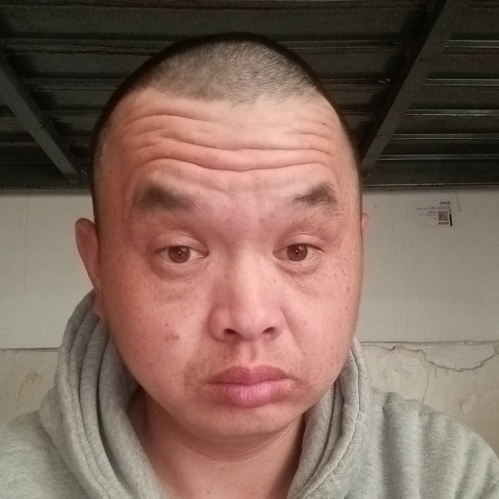 幸福凝眸鸵鸟的照片