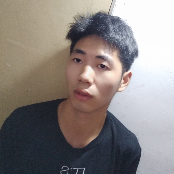 溪流苦恋优雅的照片