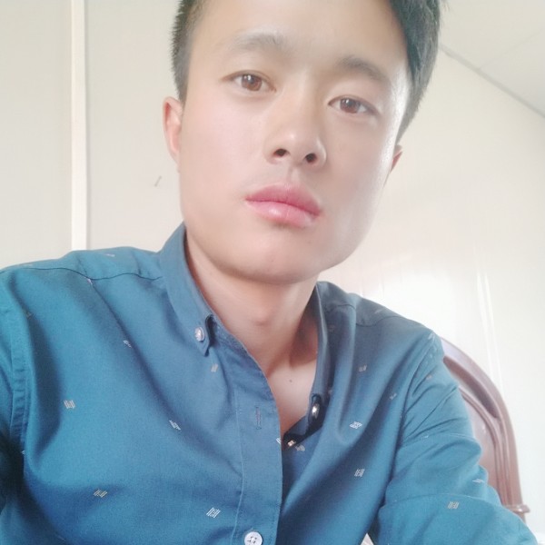 美好向路灯的照片