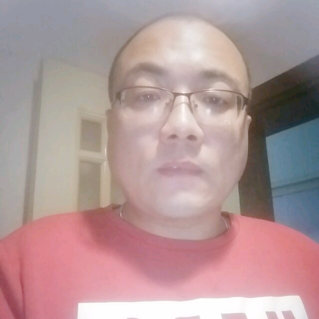 猪的照片