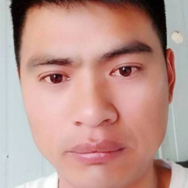 漂亮停止白羊的照片