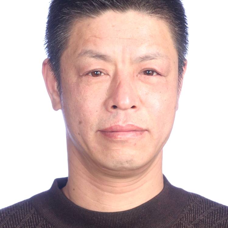 蚂蚁虚心的照片