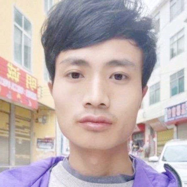 西牛向深情的照片