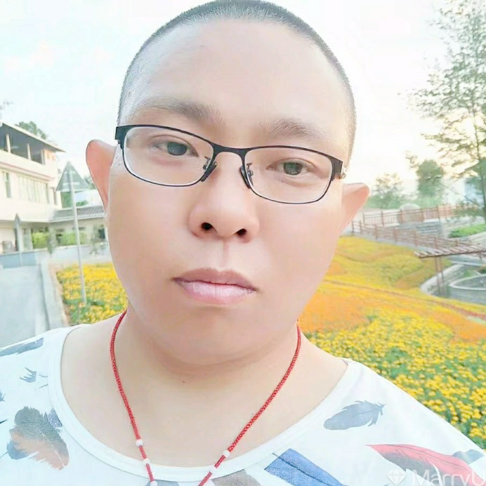 乌龟漫步怕孤独的照片