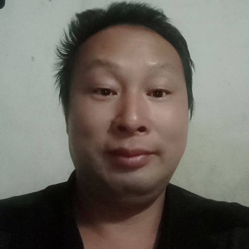 雨中树的照片