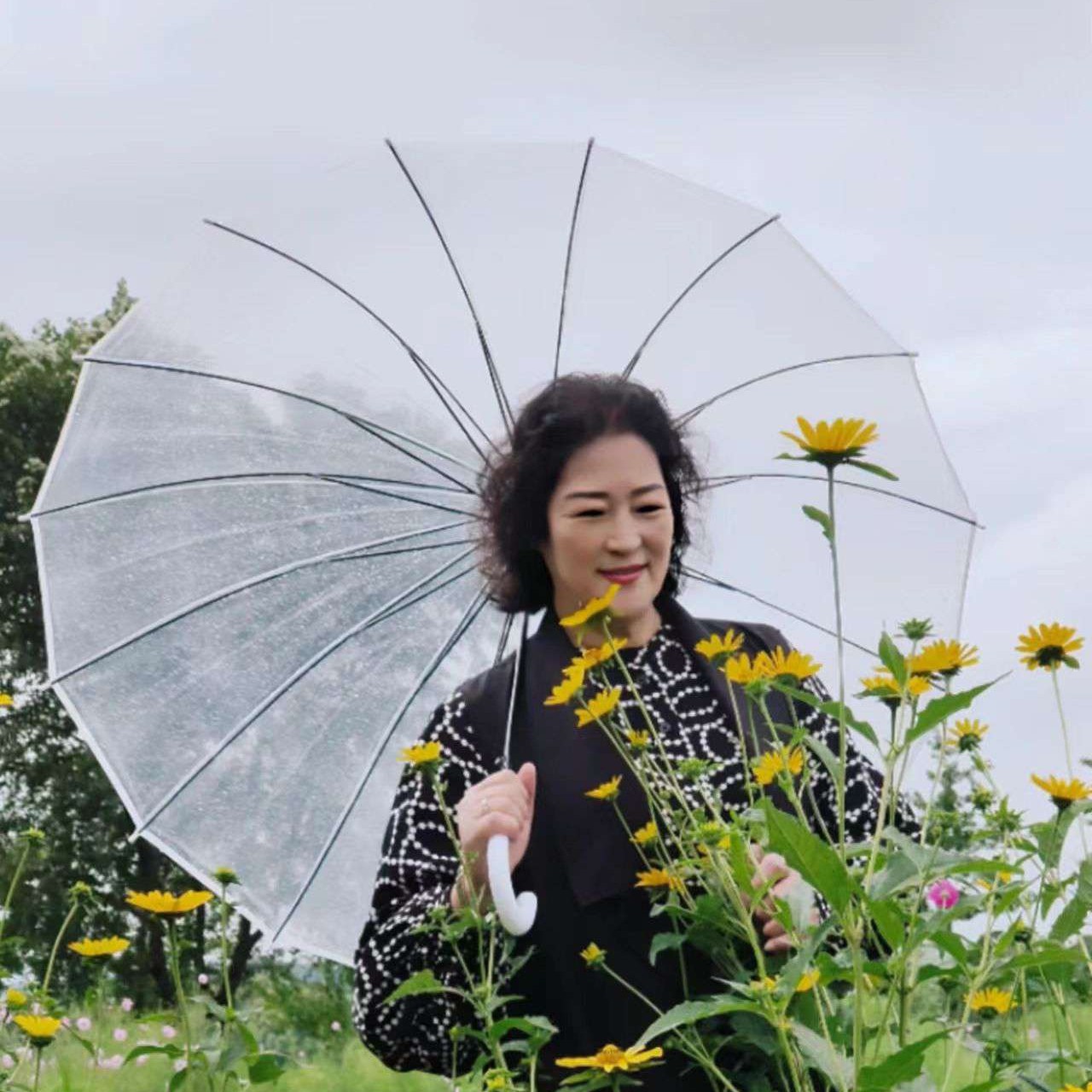 枫叶相许流年的的照片