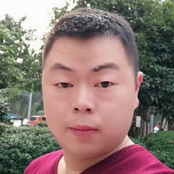 野性小熊猫的照片