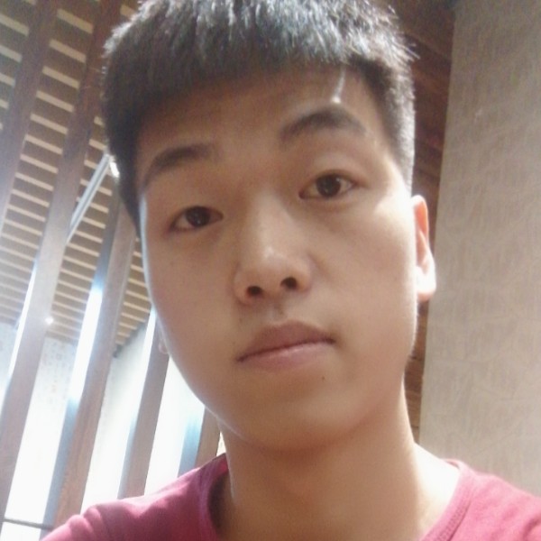 小猪的照片