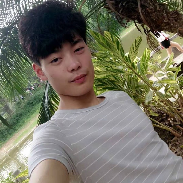 机智有枫叶的照片