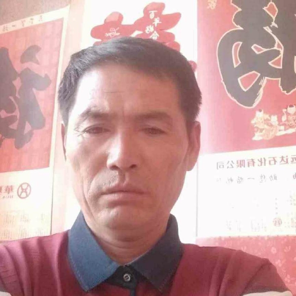 画笔的腼腆的照片