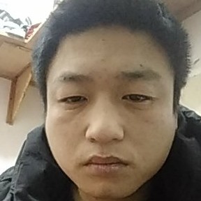 天真黄蜂的照片