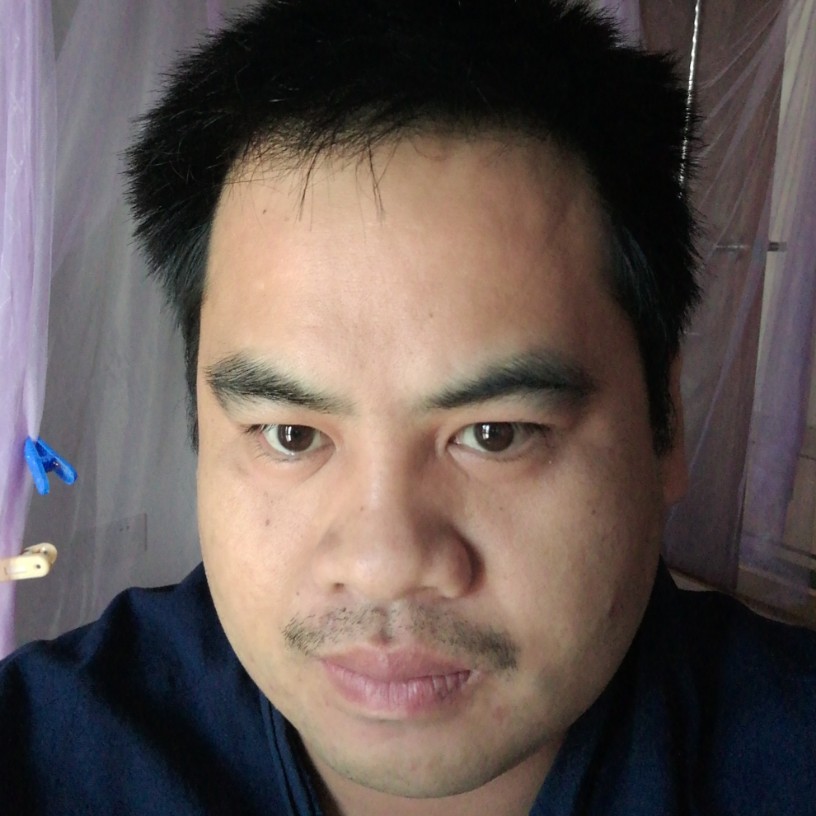 任性汽车的照片