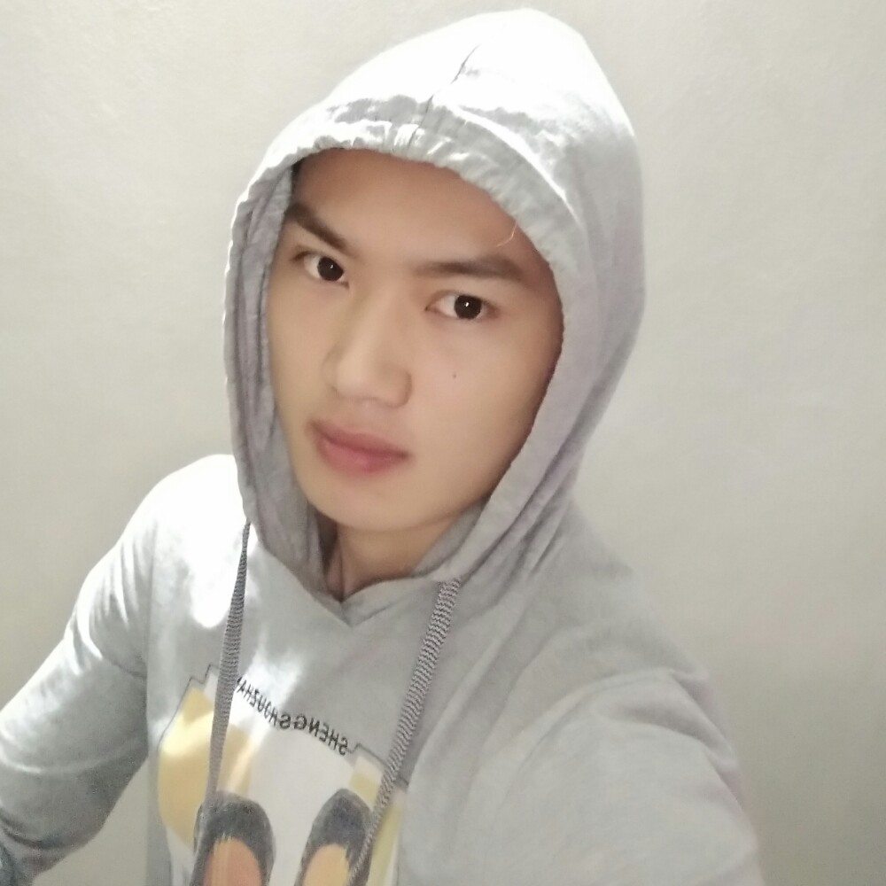 TX小狼狗的照片