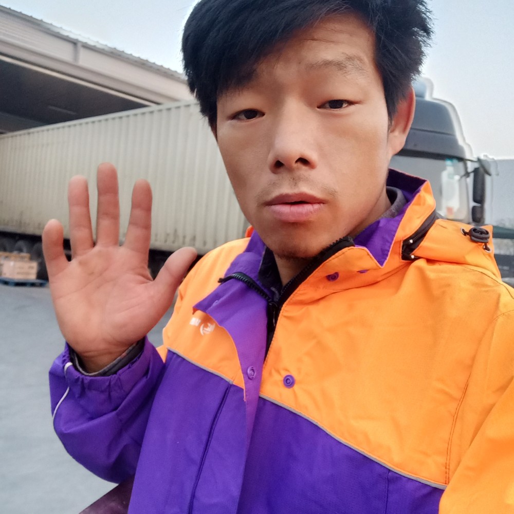 羊苦恋调皮的照片