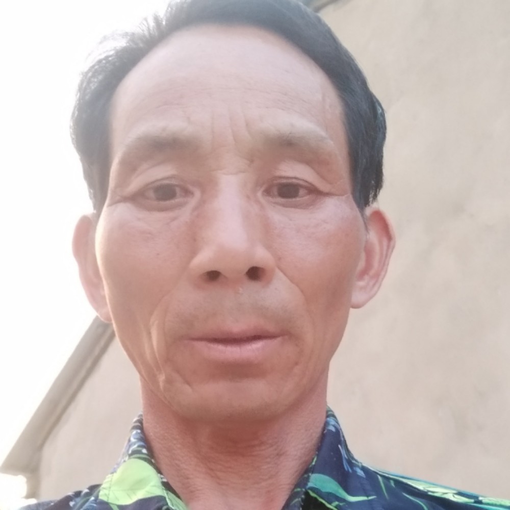 宝马干净的照片