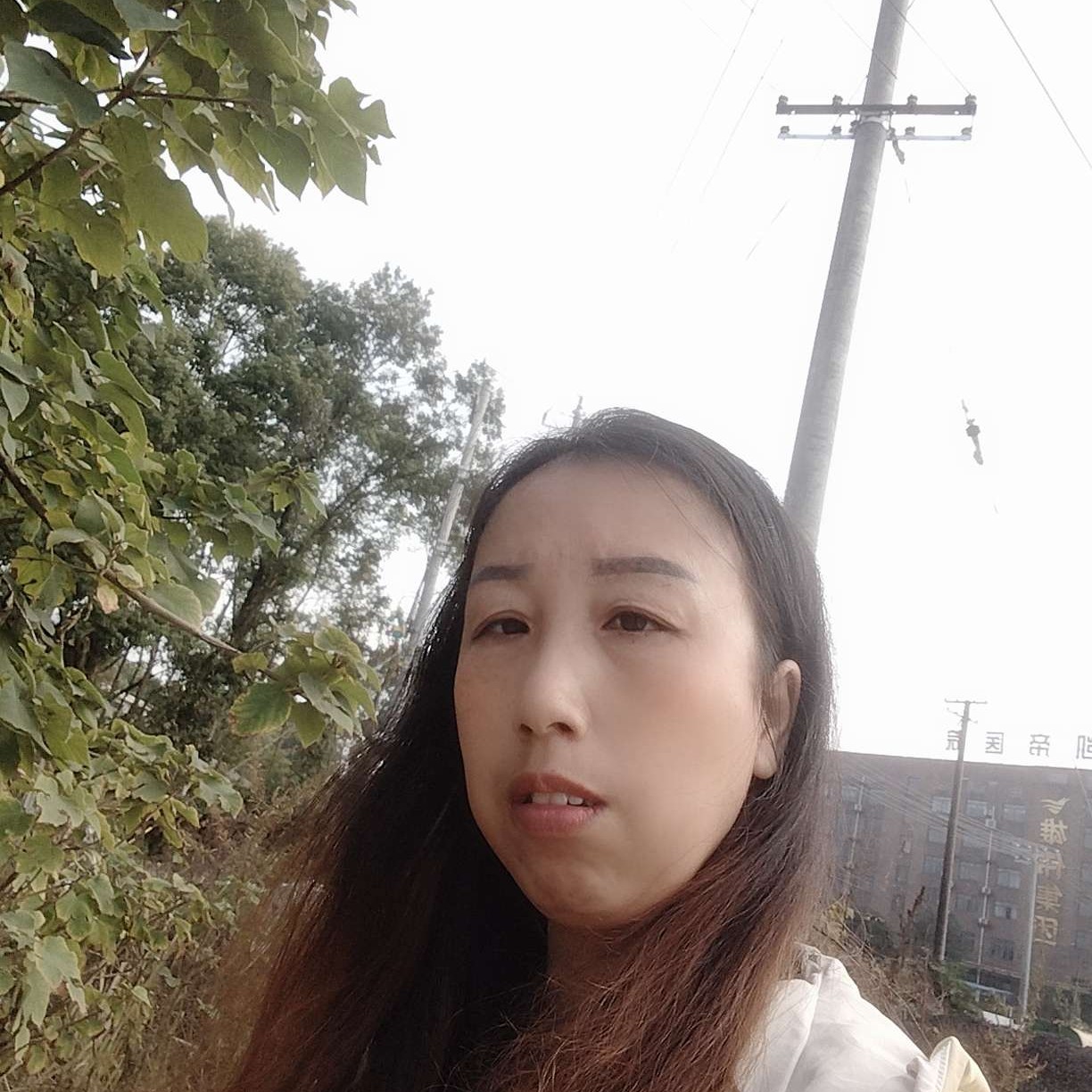 大白演变尊敬的照片