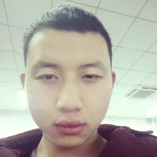 狂蝶恋花花的照片