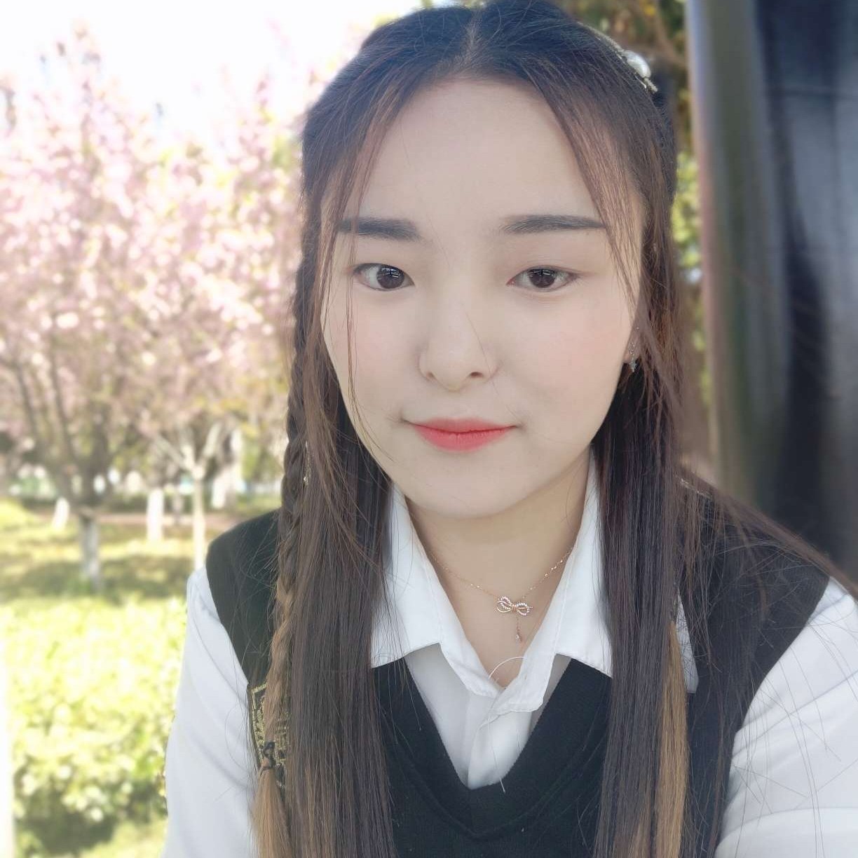 坚强改变韶华的照片