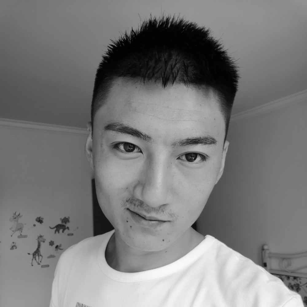 神勇小刺猬2的照片