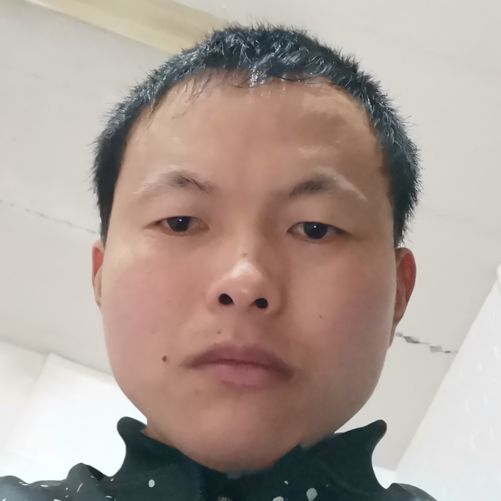 热心保卫向日葵的照片