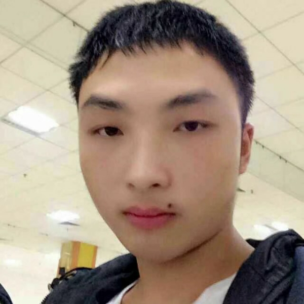 风中迎小兔子的照片