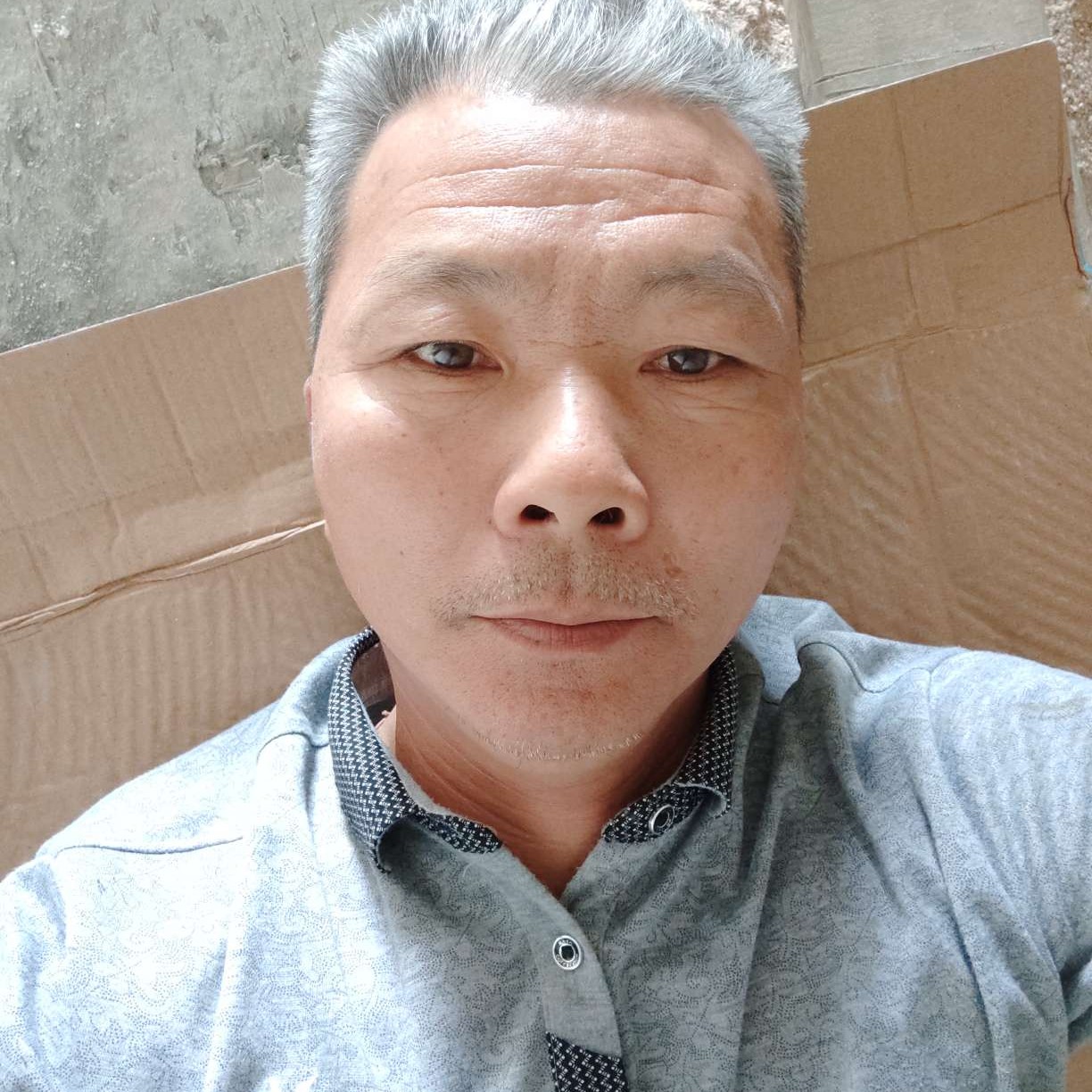 季节和生动的照片