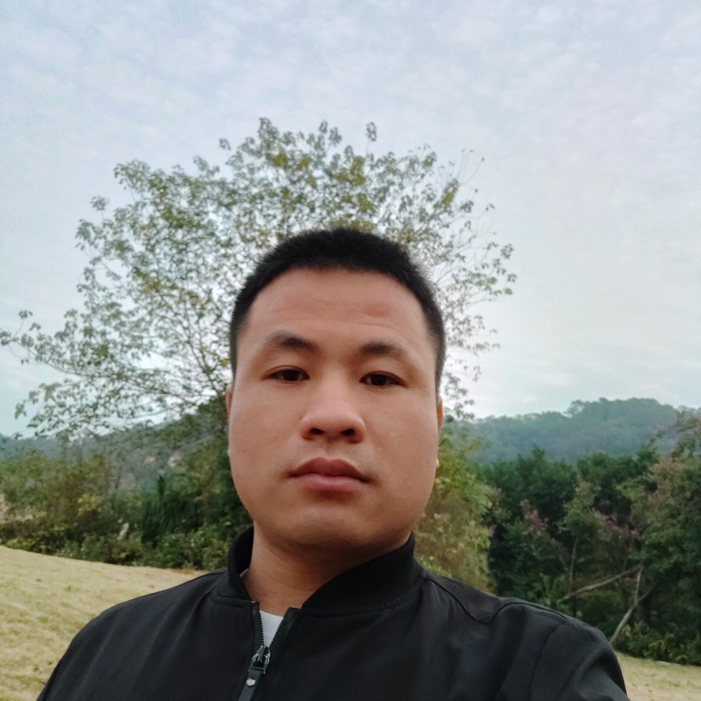 健壮纸鹤的照片