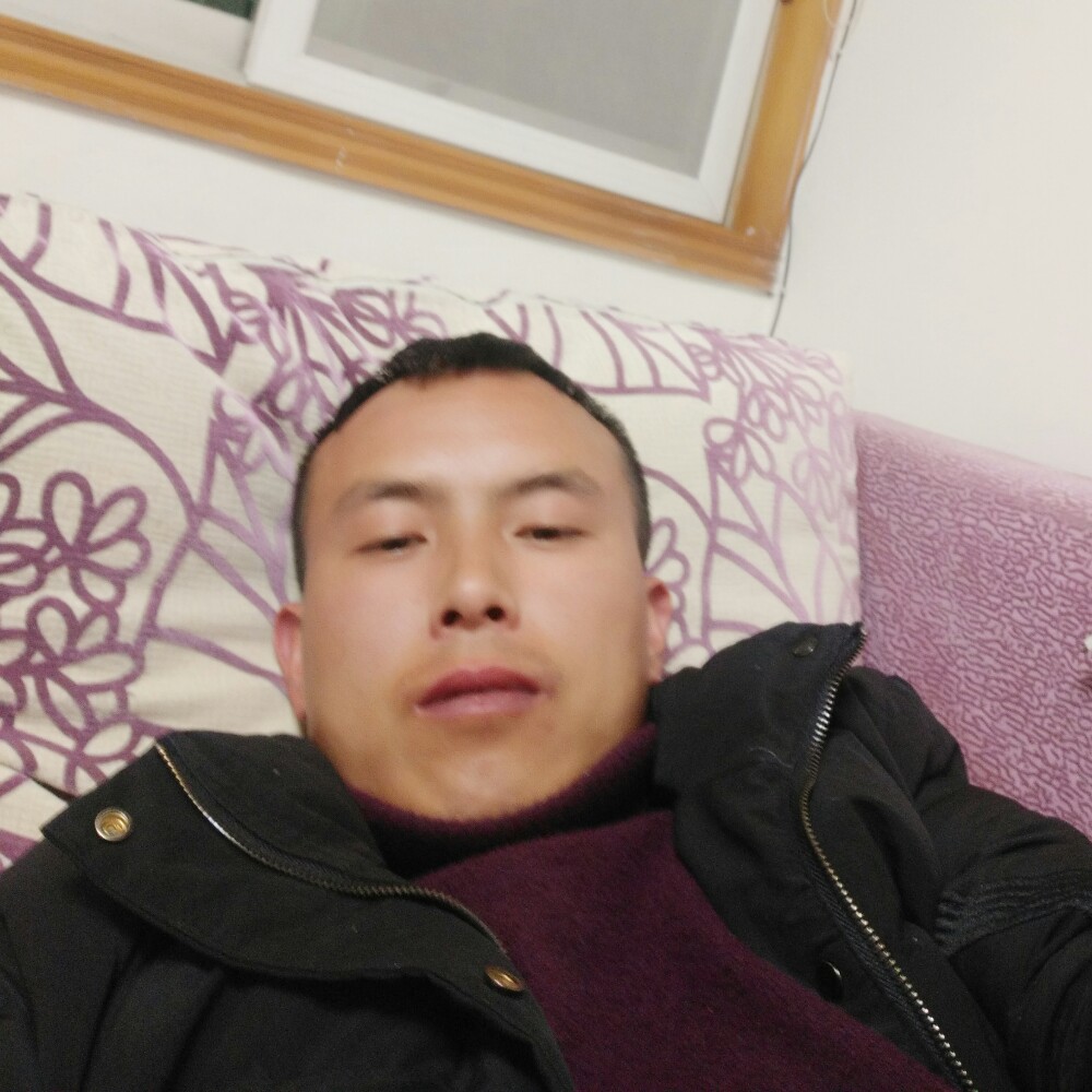 小熊猫甜甜的照片