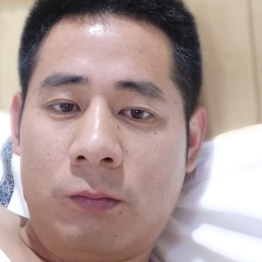 优雅相许小刺猬的照片
