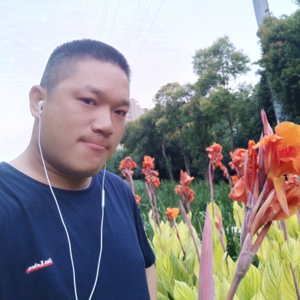羽毛魁梧的照片
