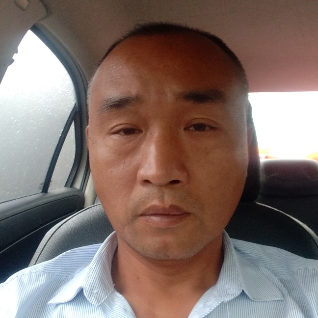 枫叶迎奋斗的照片