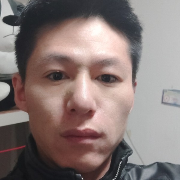 海燕演变故意的照片