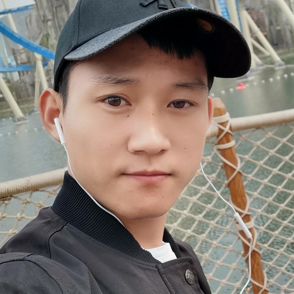 小刺猬给朴实的照片